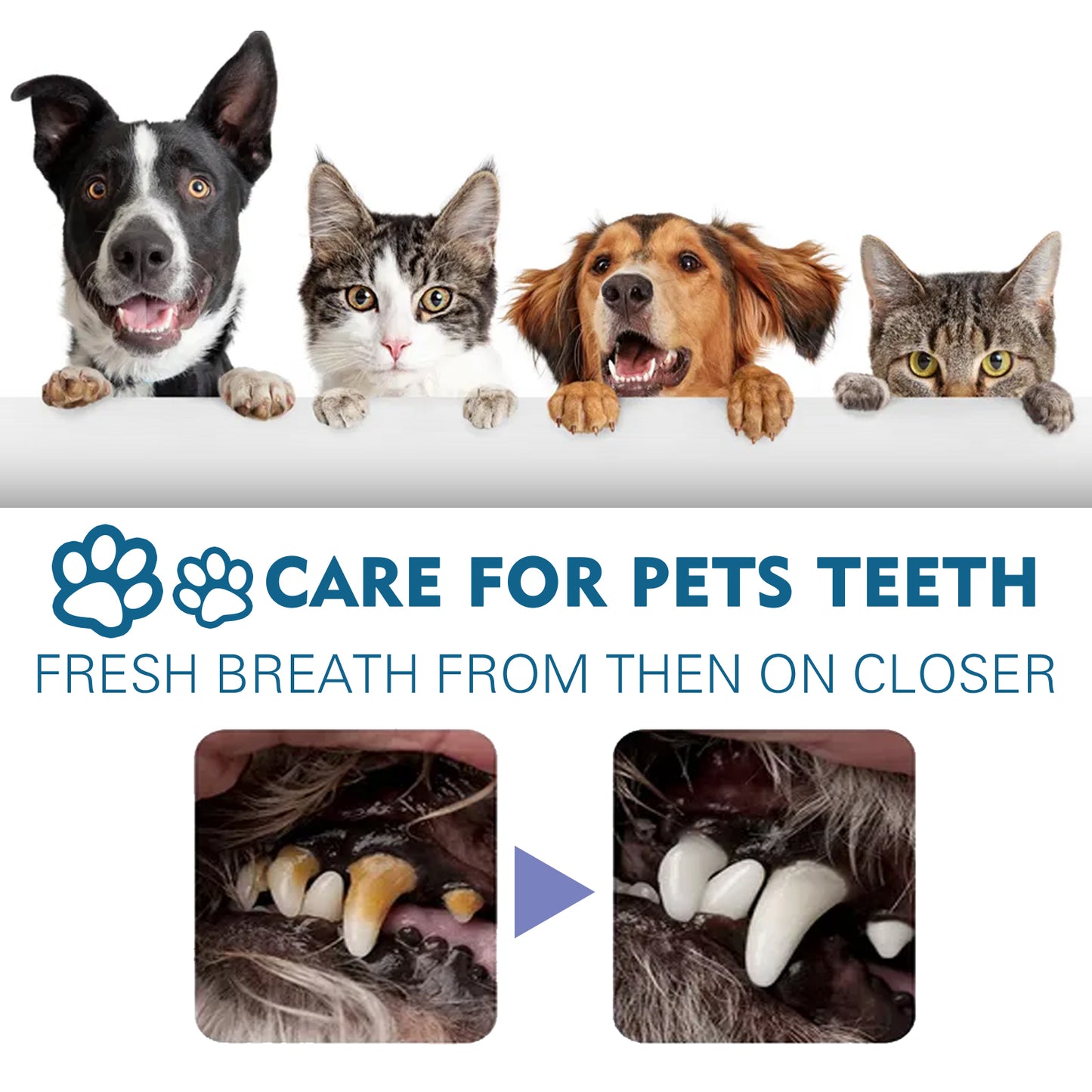 Pet Oral Cleaning Spray, Cats And Dogs Remove Tartar And Bad Breath Fresh Mouth Care Spray