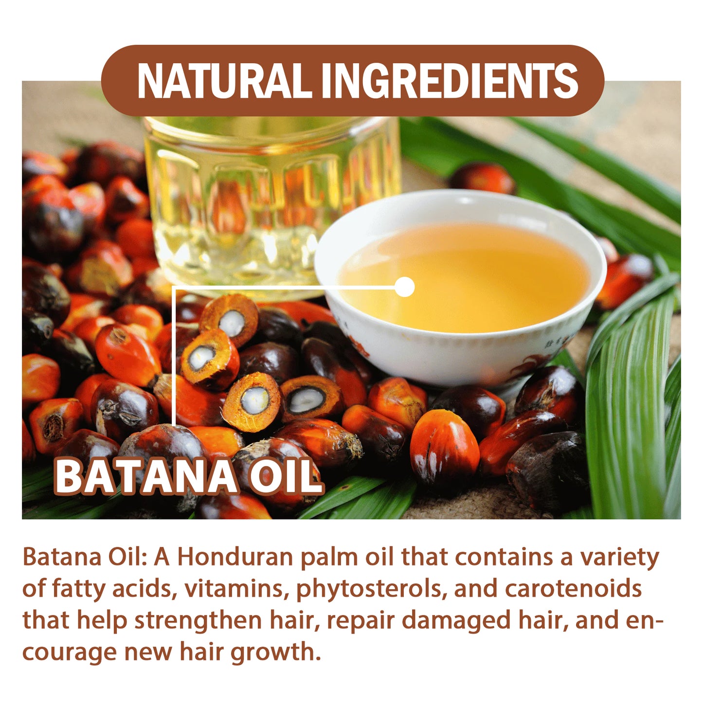 Batana Oil Conditioner Moisturizes, Hydrates, Improves Dry Hair, Softens And Fluffs Hair Care