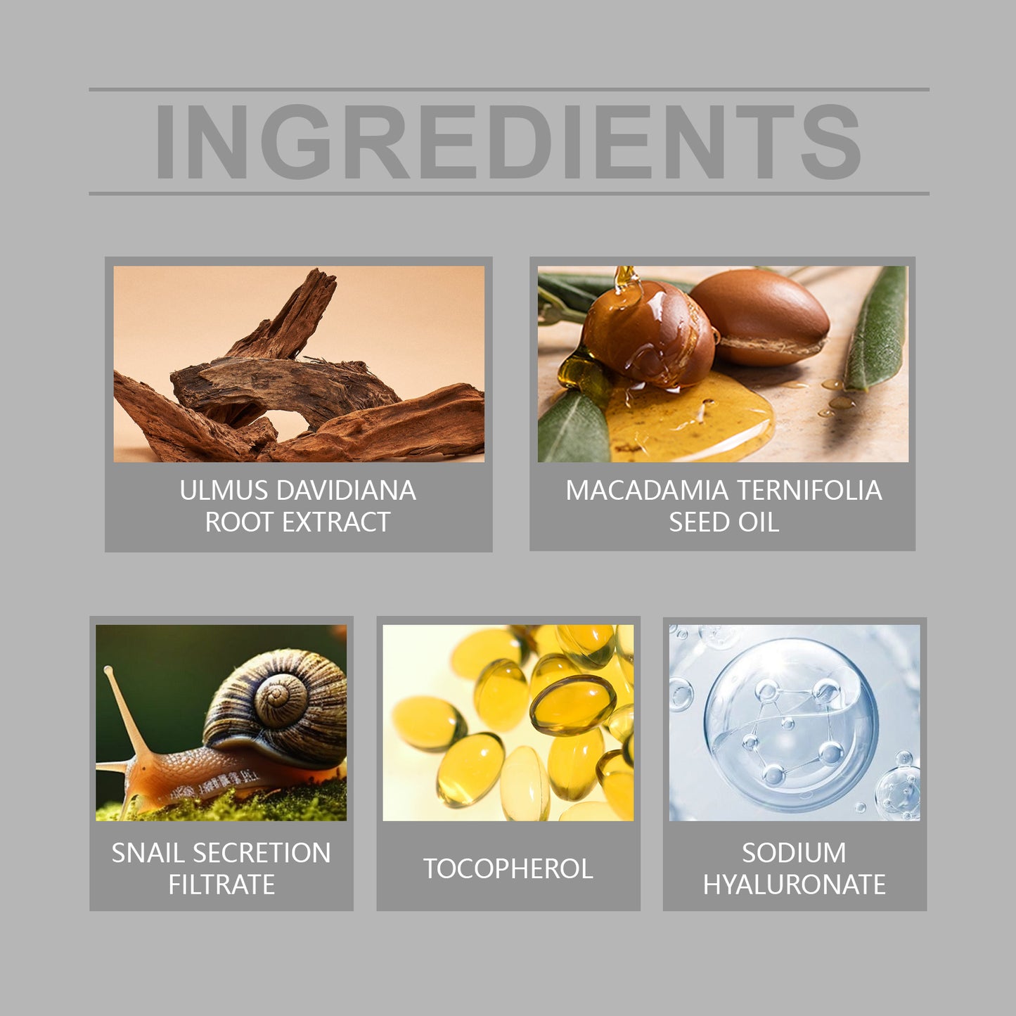 Snail Moisturizer, Nourishing And Moisturizing Facial Care Moisturizing Cream To Improve Dull Skin