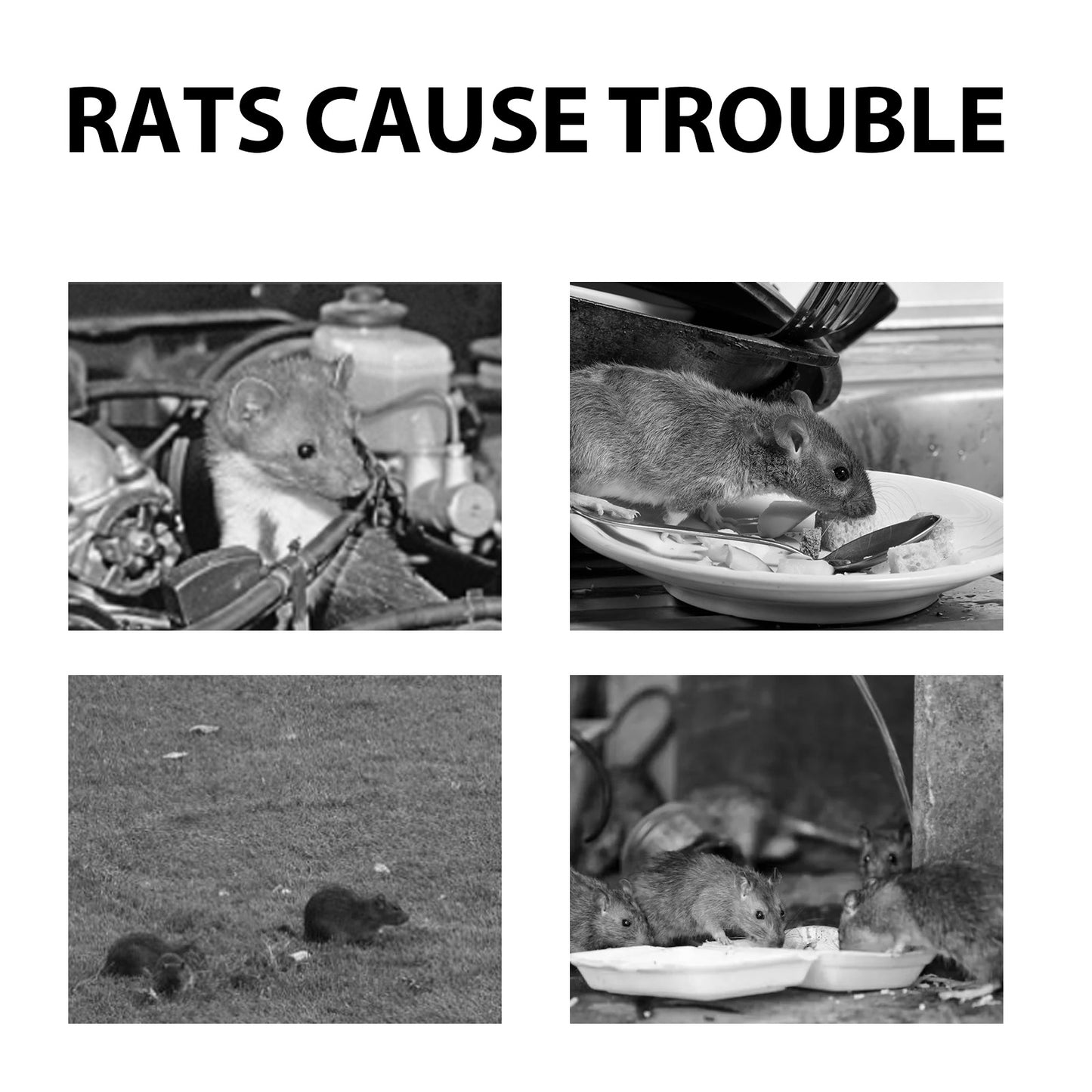 Mouse Repellent Spray, Household Gardening Rat-Repellent Rat-Repellent Solution Cockroach Repellent Mosquito Repellent Spray