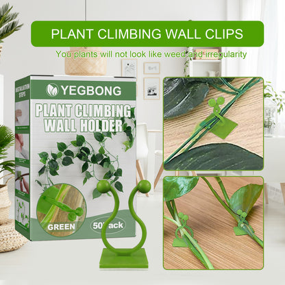 Plant Climbing Wall Holder, Household Vine Plant Wall Climbing Self-adhesive Retainer