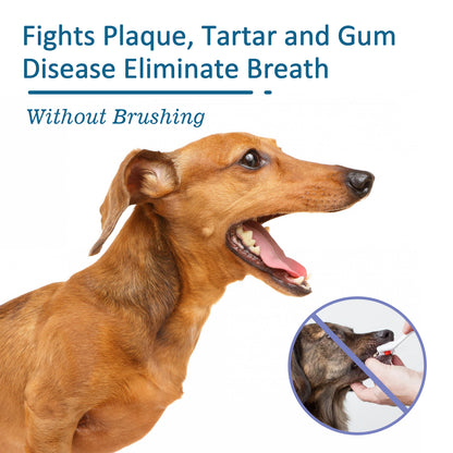 Pet Oral Cleaning Spray, Cats And Dogs Remove Tartar And Bad Breath Fresh Mouth Care Spray